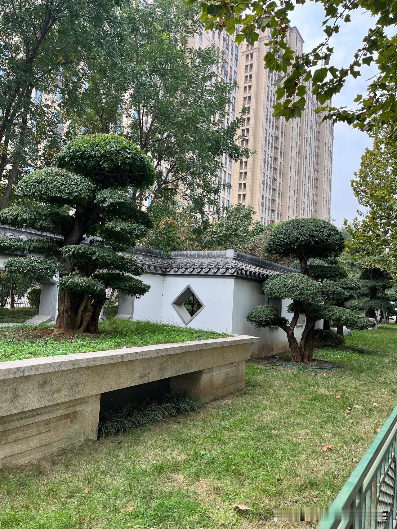 这是上周去保险公司送保单，下了公交车后，还有剩余七百多米，走路时沿途看见的。精雕