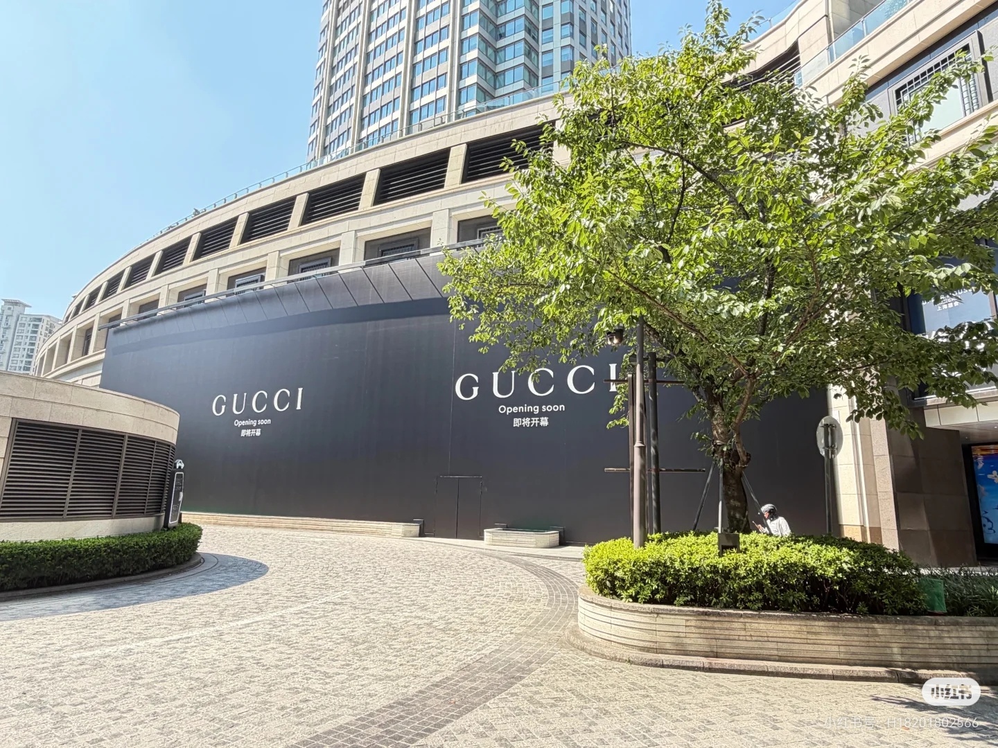宁艺卓gucci全球品牌代言人 Gucci今日围挡上海兴业太古汇L1层核心门头位