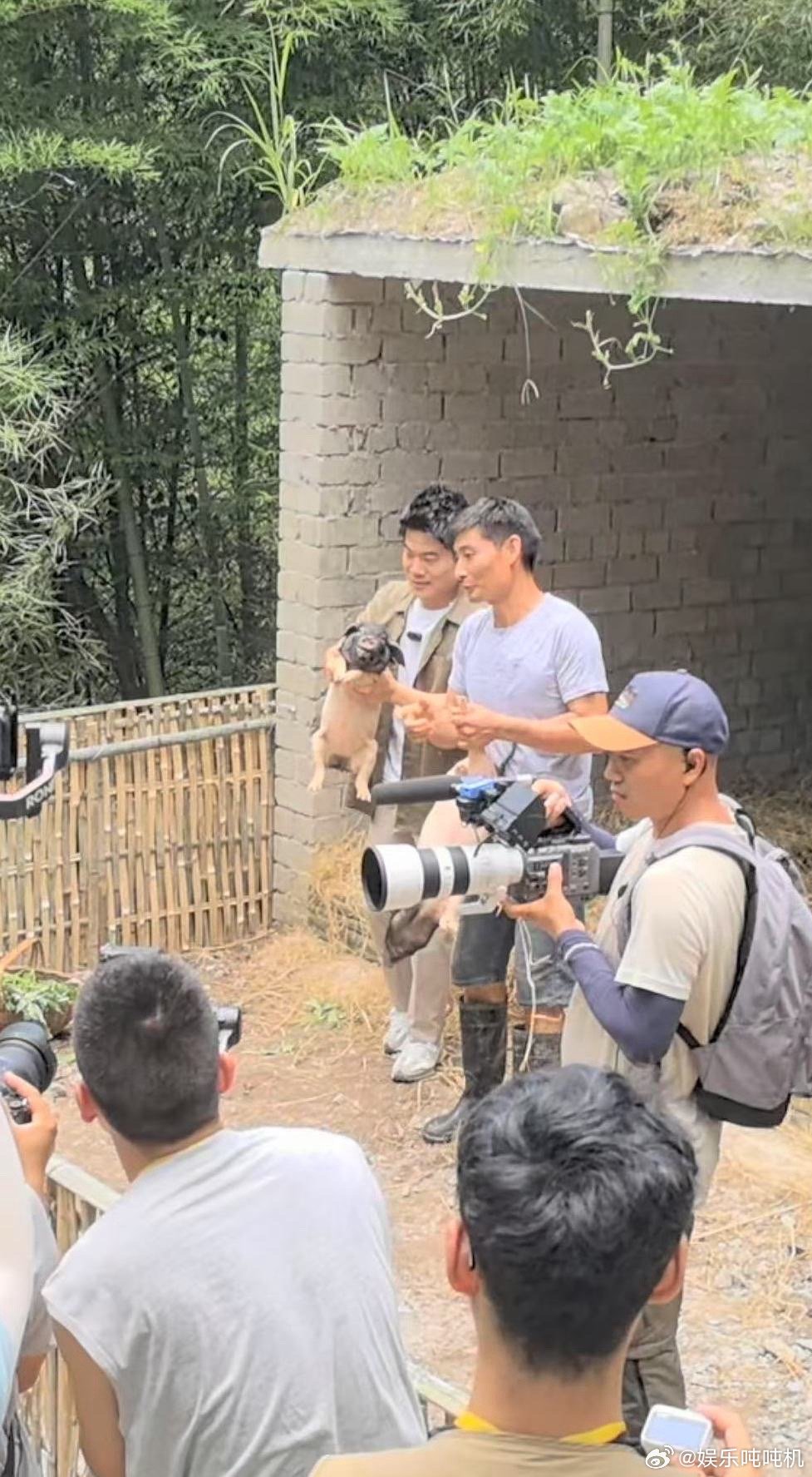董宇辉抓猪惊呆龙洋寻味山海 董宇辉试图用猪语沟通没成，反被猪追，龙洋被猪叫惊到，