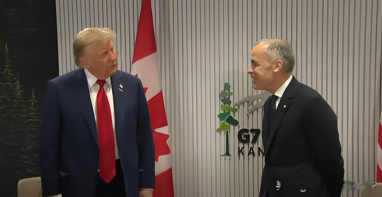 这两天看国际真挺有意思，欧洲那帮政客被特朗普搞得焦头烂额，甚至连加拿大小土豆都有