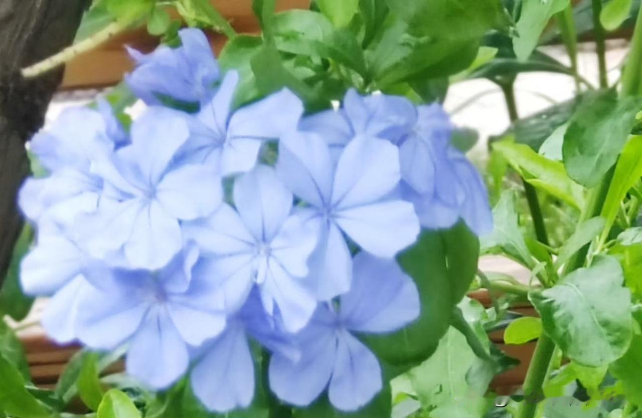 临床医药代表转战第三终端销售——轻松拿捏？

临床医药代表已经静默几个月了，刚开