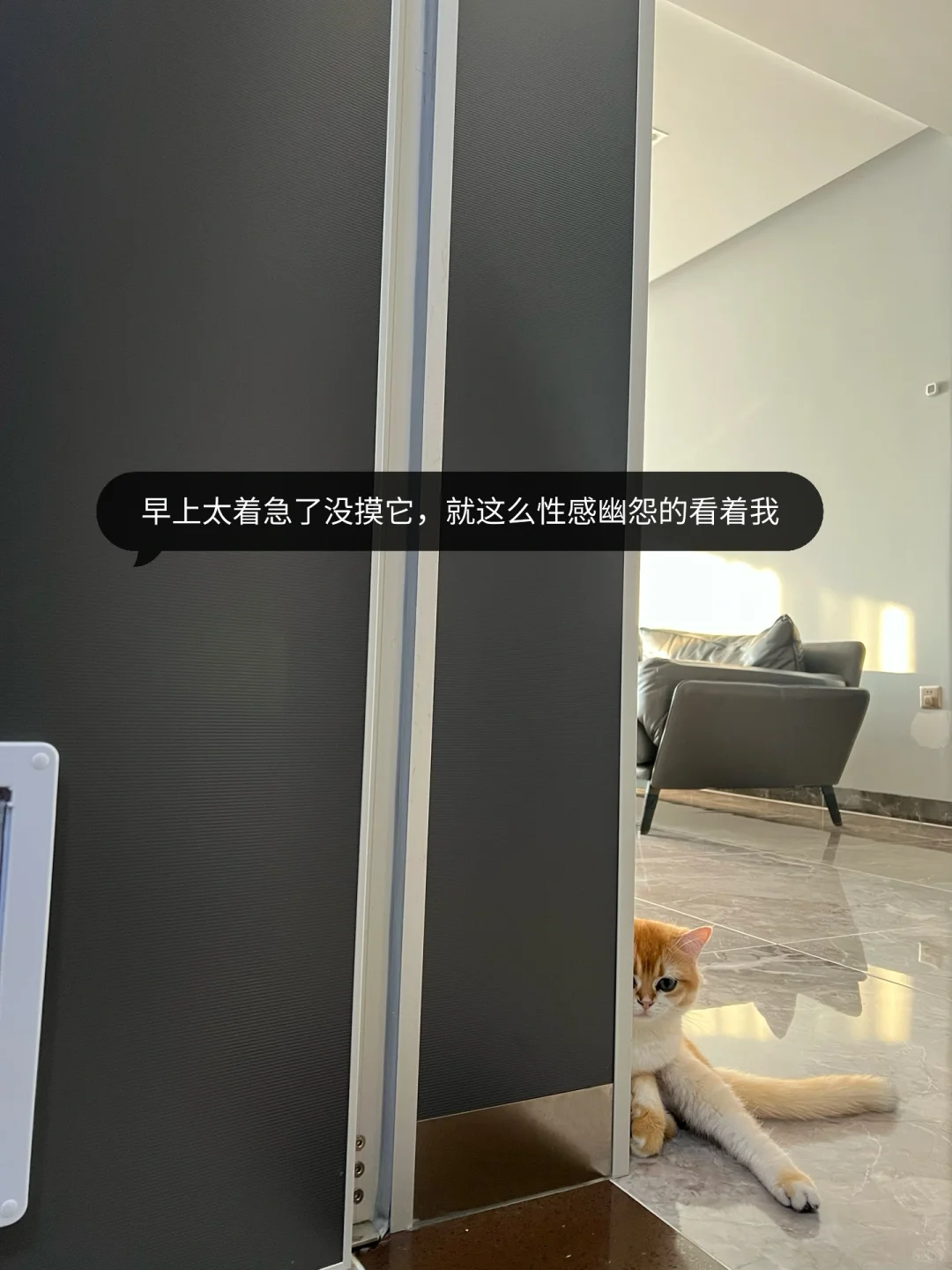 运动第五年，目标，穿衣显瘦，脱衣有肉