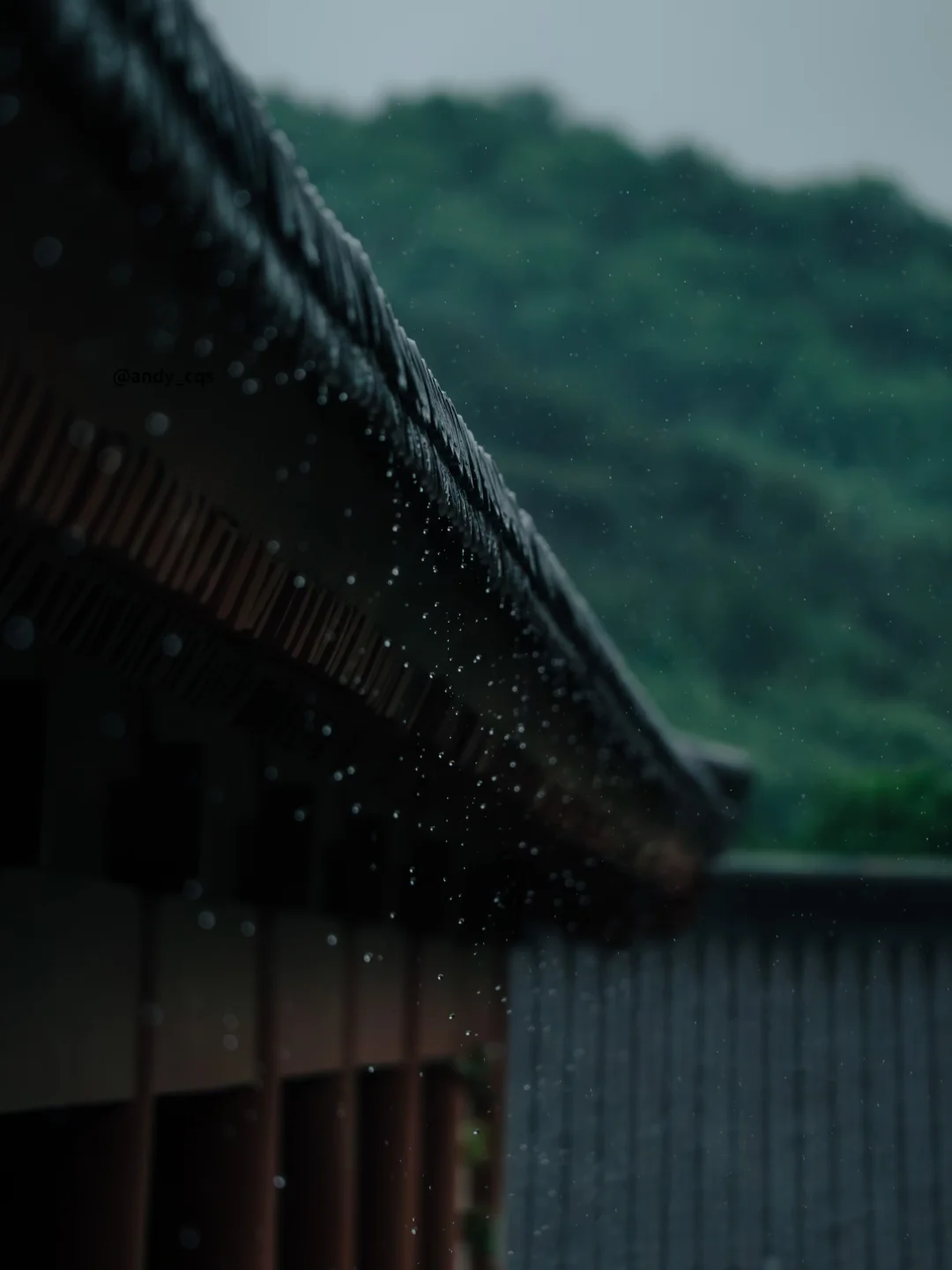 “当我在雨天把快门调到千分之一时…”