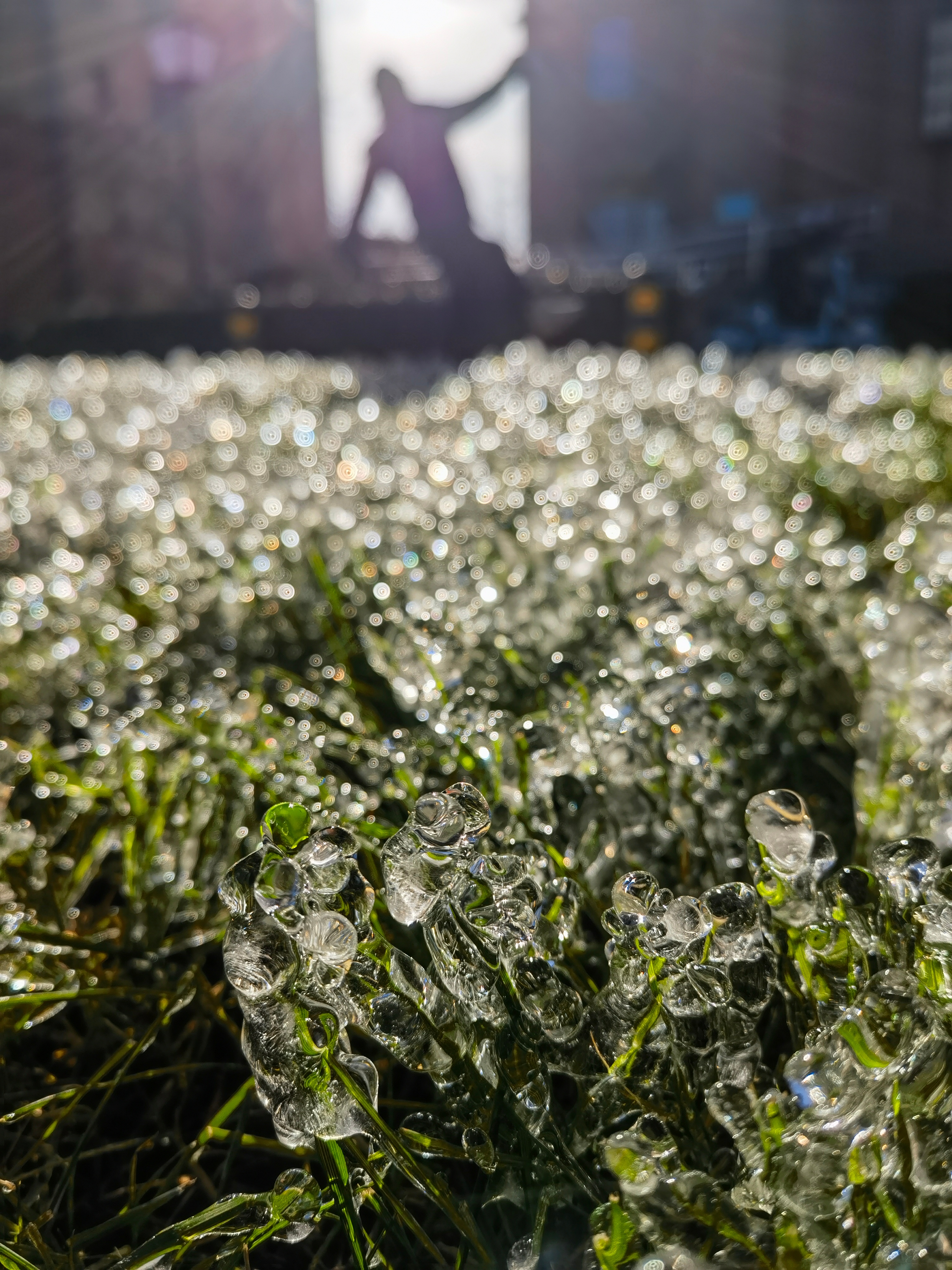 *碎碎念*冬天的氛围感～冰晶，小区绿地，据说忘记关水，浇了一晚...还有q弹焦香