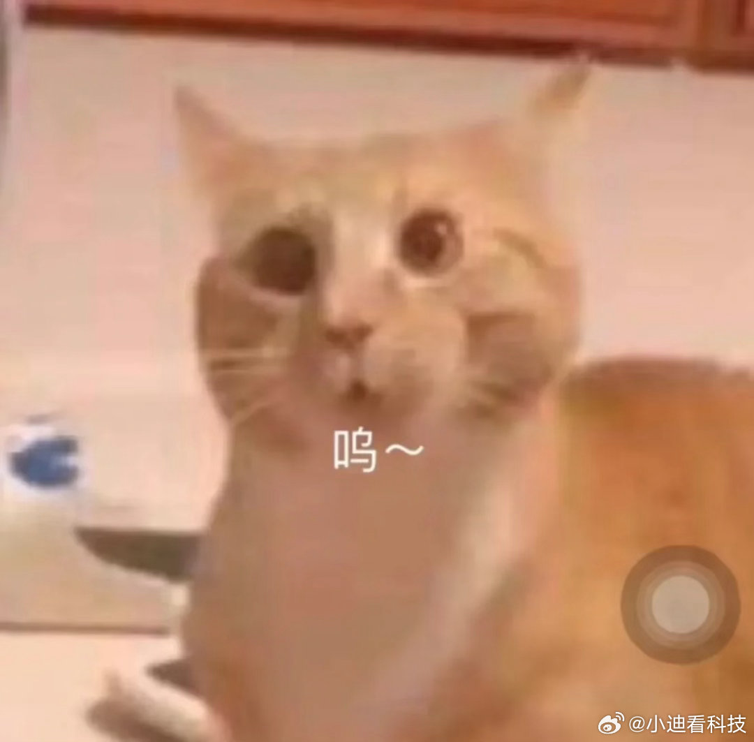 说个真心话：这几年双11我越来越提不起劲，凑券、叠券、算满减，跟做数学题似的，过