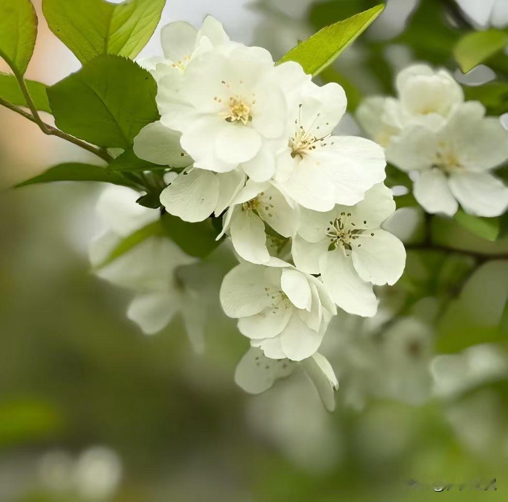 【小对联】
上：……？
下：投缘。