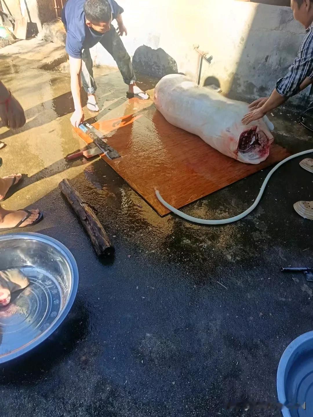 杀猪季节，最主要烧烤了，客人们喜欢怎么吃都行，自己动手，丰衣足食，不要动主人家的