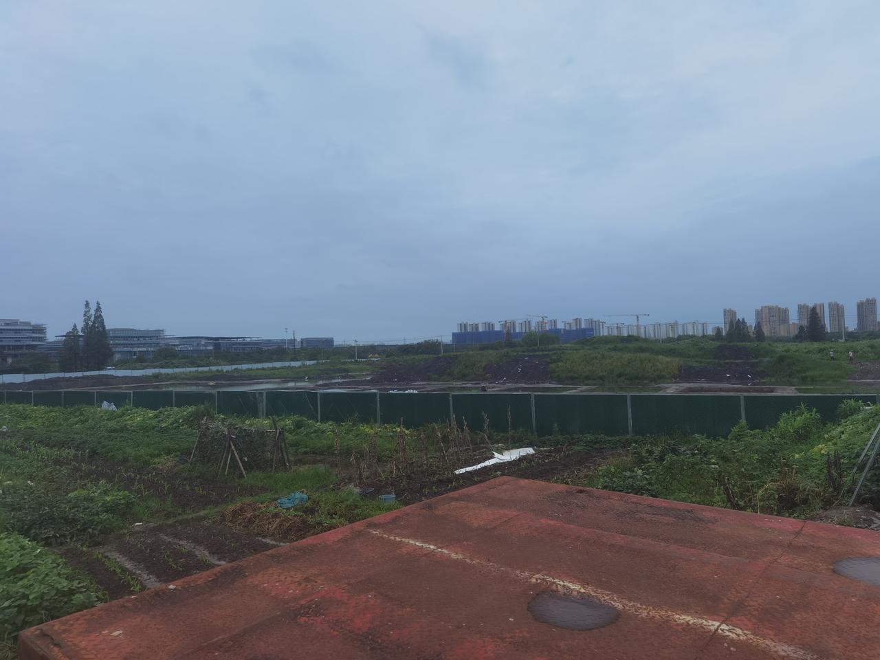 绍兴恂南考古坑里全是水