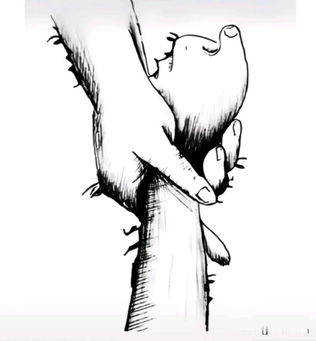 你我手拉手，黄土变成金，下图中有六张人脸，能找到四、五张人脸的正常，全部找到的才