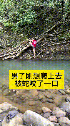 这视频给我看得心都揪起来了！那男的好不容易游到河这边，刚伸手抓着树根准备往上爬，