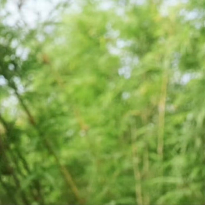 阳光信用 互动打卡 懂得尊重别人，也尊重自己的心声，学会调整，遇见困难了，多想想