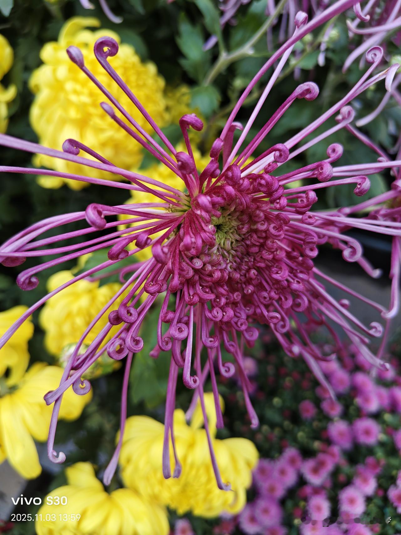 在异乡突然想家的瞬间