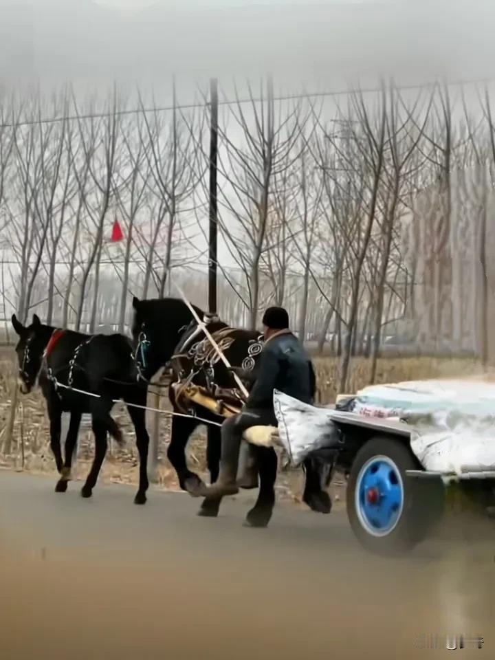 大S突然的去世告诉我们，
人是随时都可能死掉
彻底的离开人间！
世上所有东西都不