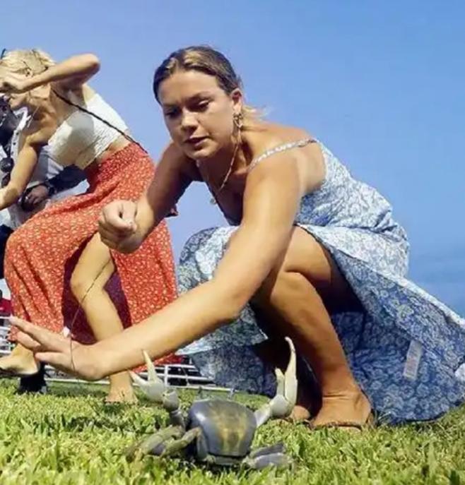 特立尼达和多巴哥发生了一起富商夫妇枪击案，妻子枪杀丈夫却被无罪释放轰动一时。
 