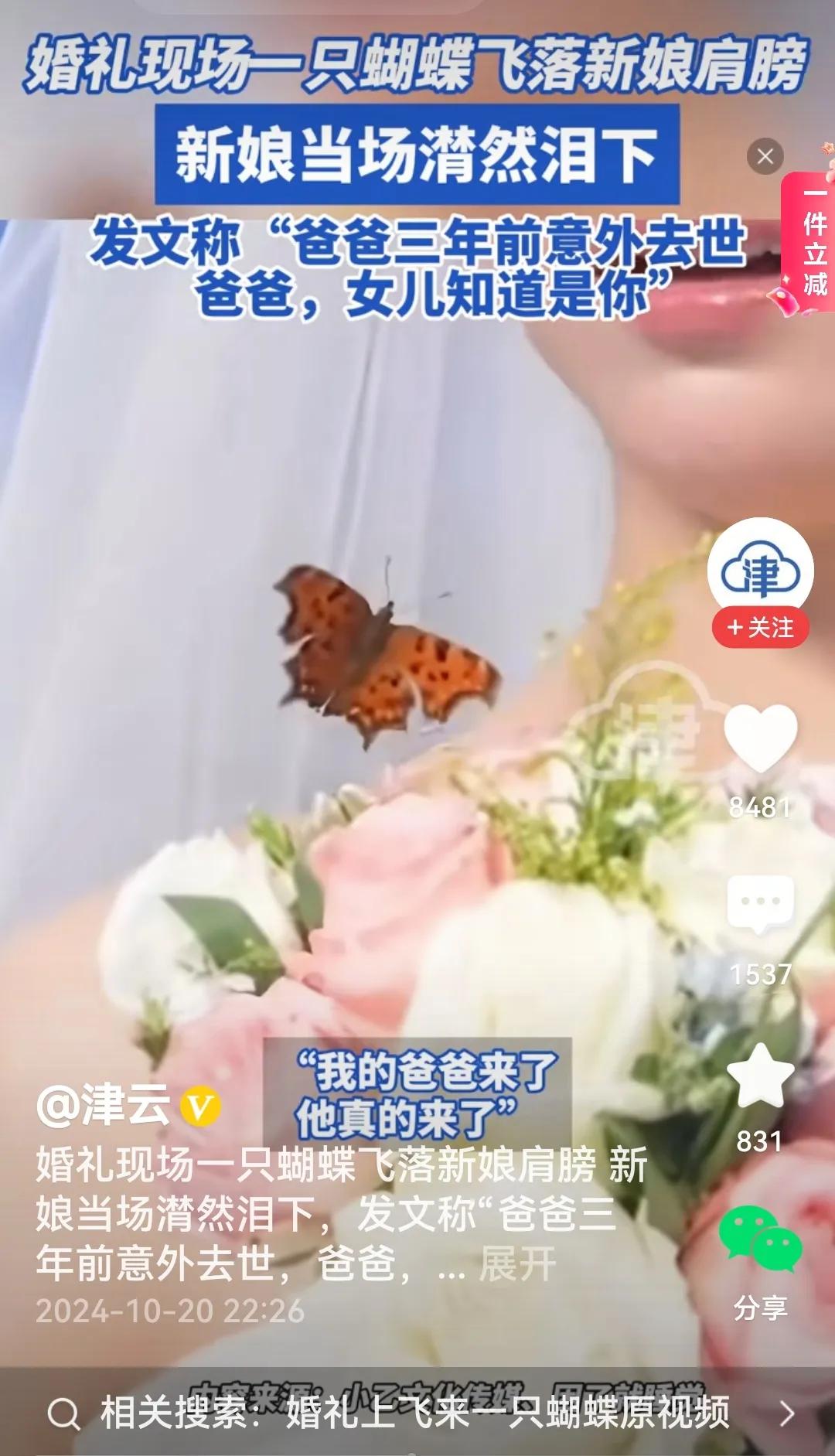 #婚礼现场一只蝴蝶飞落新娘肩膀#
是的，婚礼上一只蝴蝶围着新娘飞着，最后落在新娘