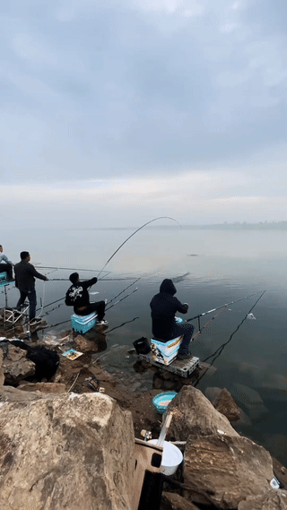 钓鱼人在水库钓鱼经常会遇到大鱼“爆竿”的情况！
虽然最后跑了大鱼，鱼竿也废了！