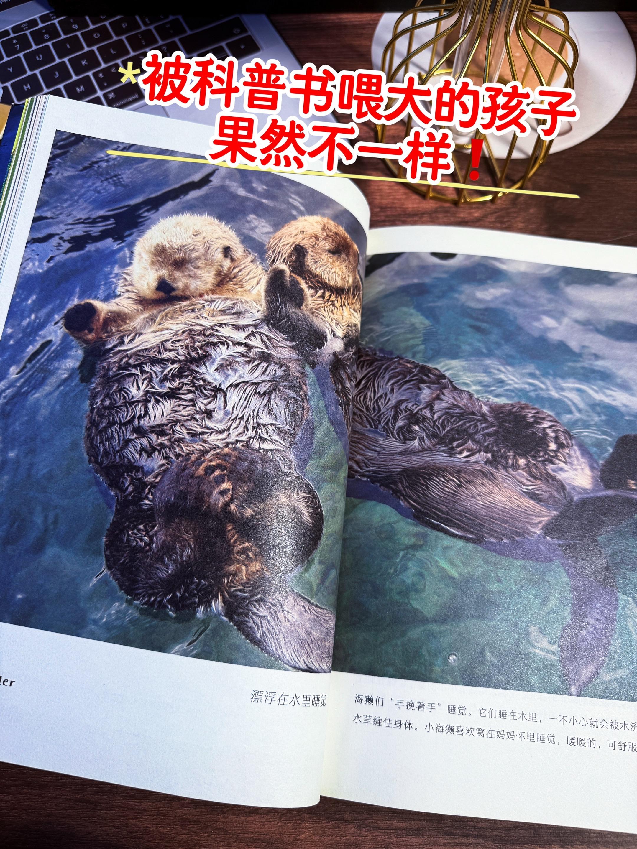 被科普书“喂”大的孩子就是行走的百科全书。这是一本 2 岁娃就能看的科...