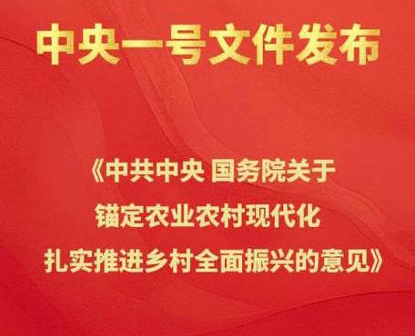 中央1号文给三农啥好处？

         2026年中央一号文件围绕“锚定农