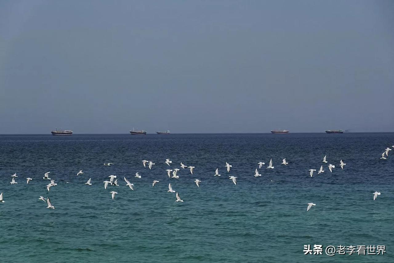 【伊朗军方报告：击中了霍尔木兹海峡的一艘油轮】
德黑兰时间2026年3月7日，伊