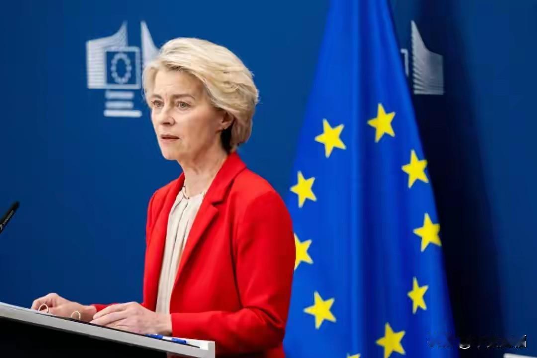 欧盟：希望中方不要将安世问题闹大，并且放宽对欧稀土出口管制
 
这话听着实在有点