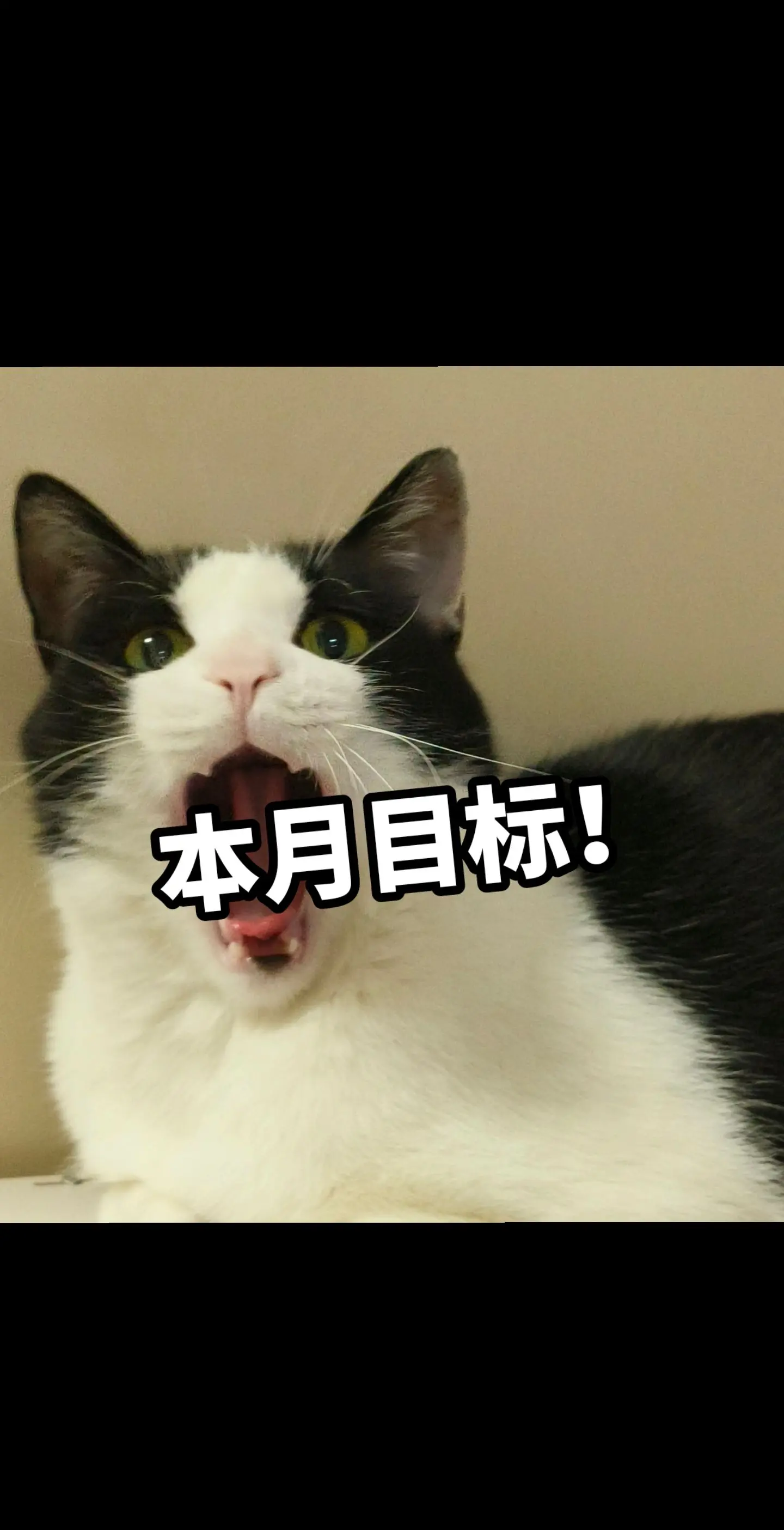 【当前任务已发布，请宿主及时完成】