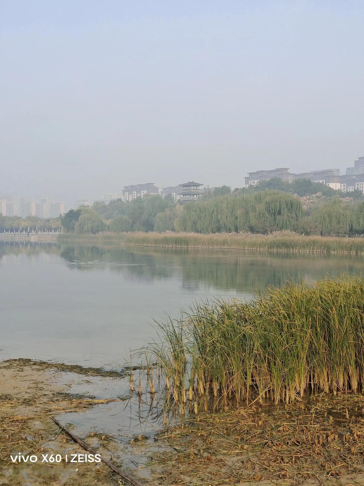 鹧鸪天.重游齐盛湖有怀
文/曹传新
齐盛湖边美景多，曲经攀越唱山歌。
碧波荡漾游