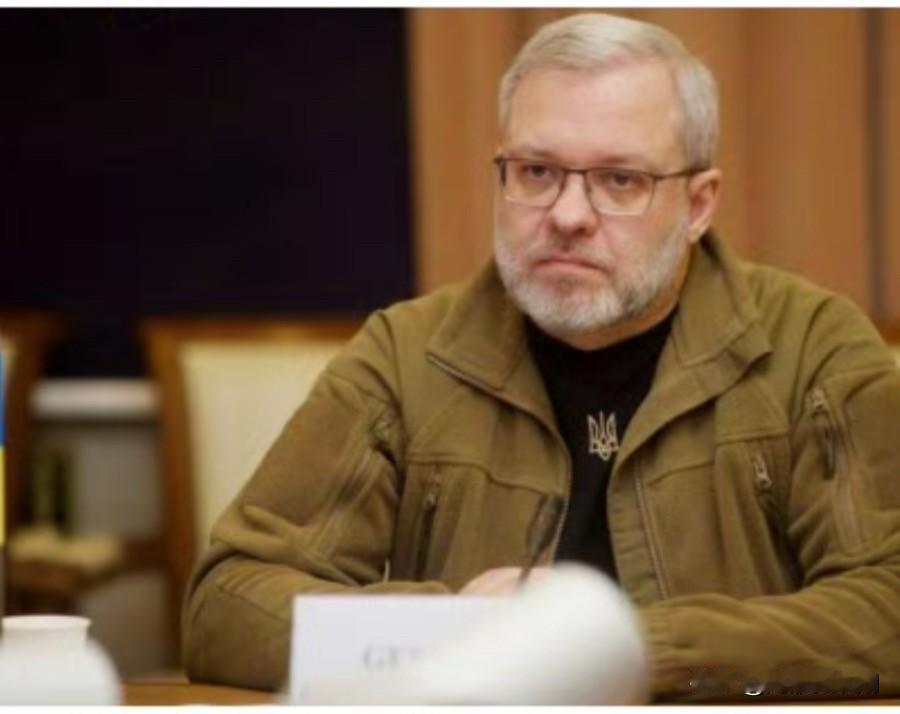 乌克兰前司法部长因为偷渡出境被逮捕

乌克兰前能源部长、前司法部长加卢先科试图偷