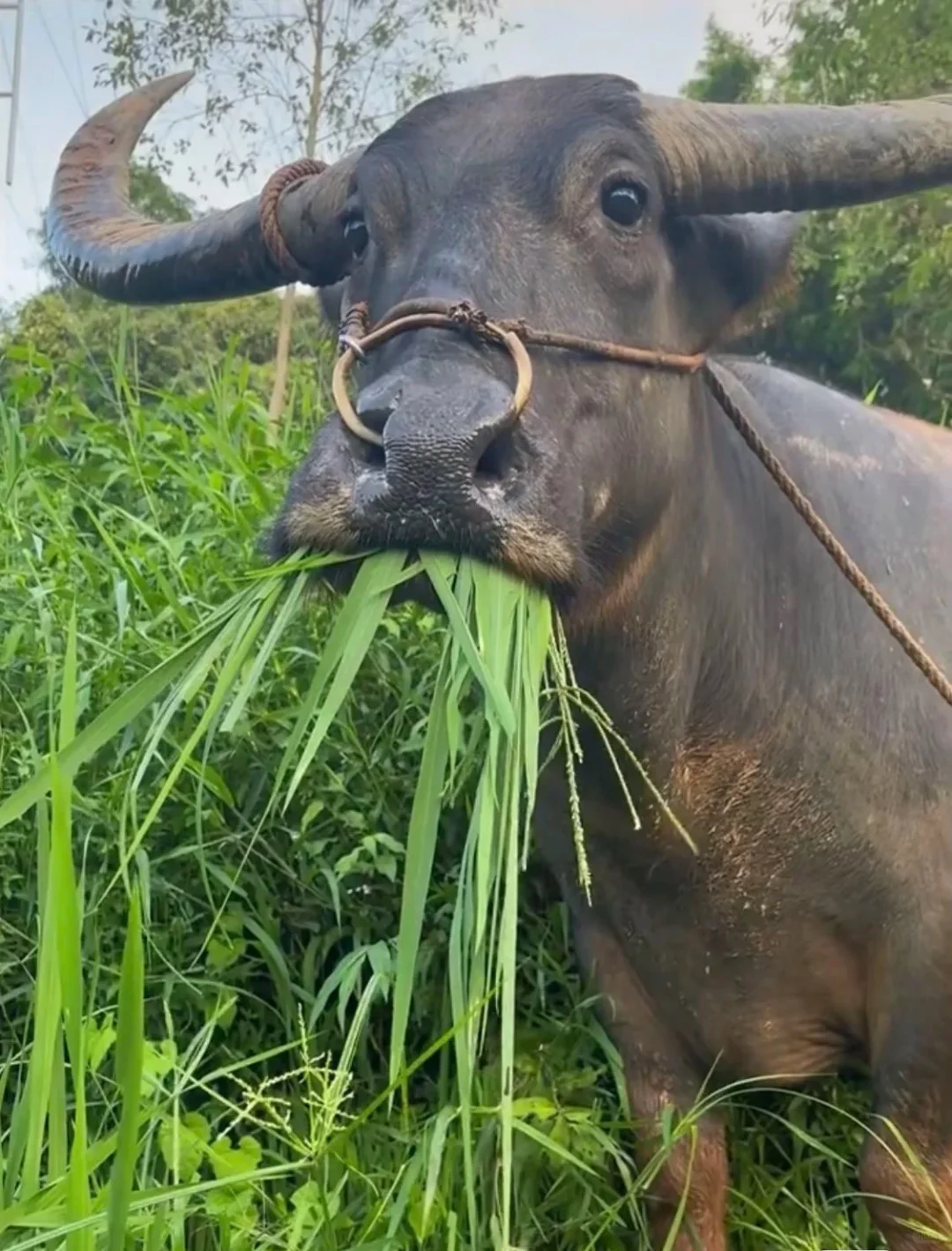 好像又严重了