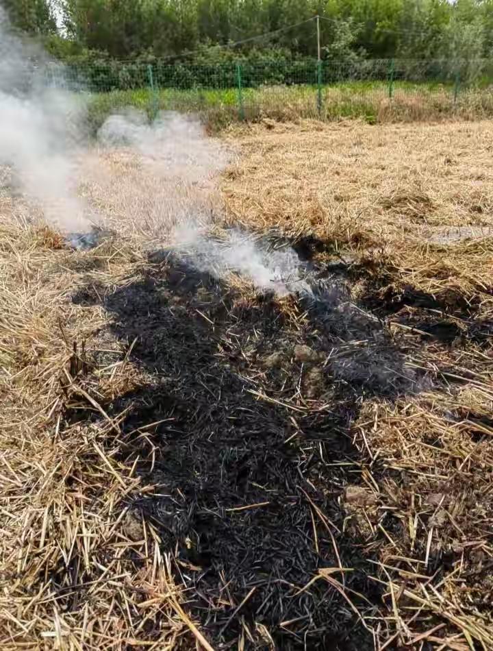 南昌因烧秸秆，市民戴口罩出行——这背后隐藏的，是我们对环境的无声呐喊。

每年秋