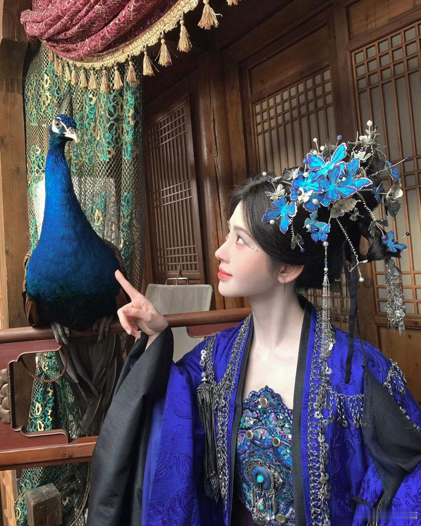 jjy鞠婧祎jjy鞠婧祎阿黛你是海平线的终点是我愿意披星戴月去爱的人