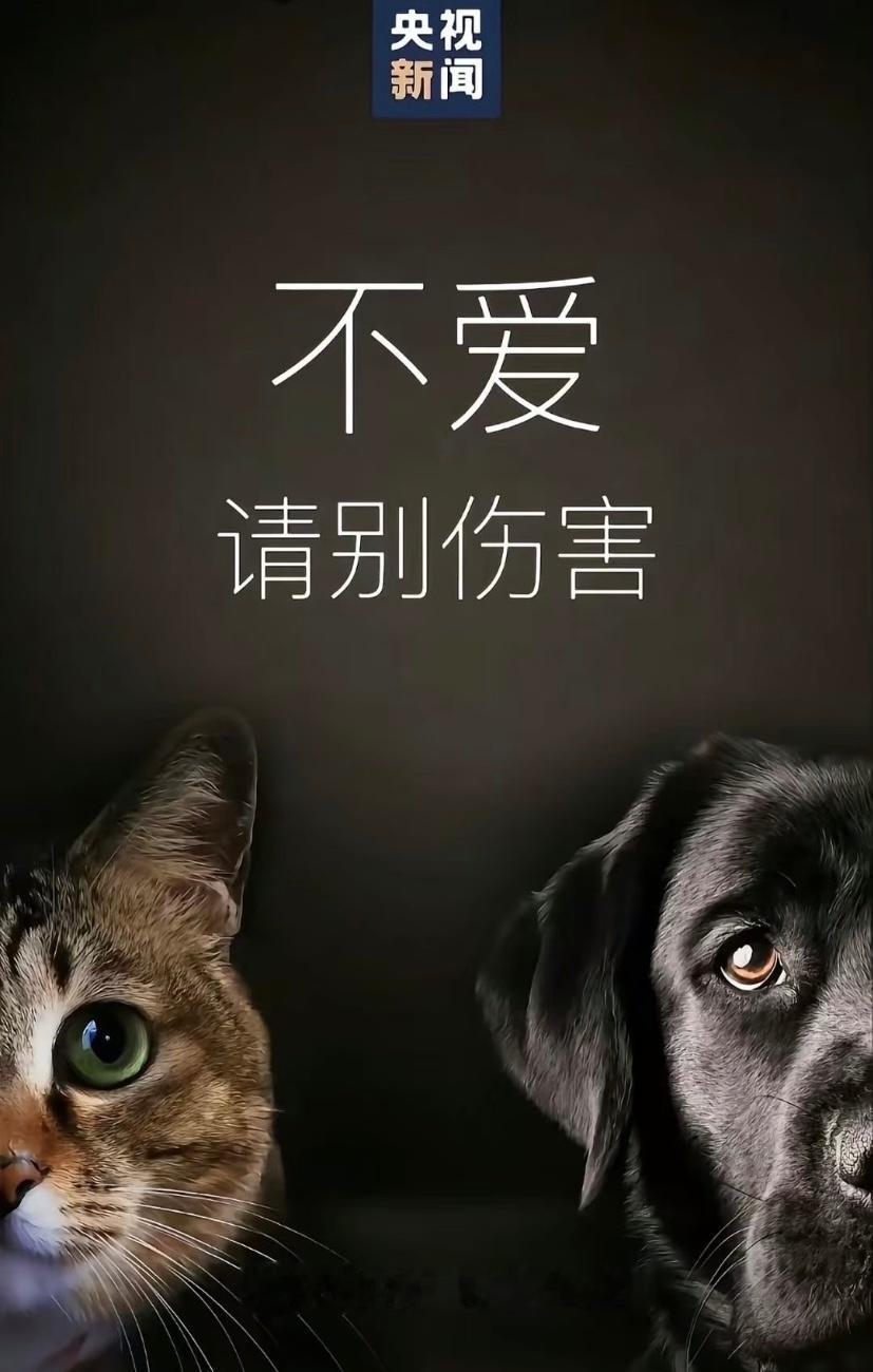 警方对山姆打包哥实施强制措施梳理下整件事完整脉络：当事人早前因山姆打包食物出名，