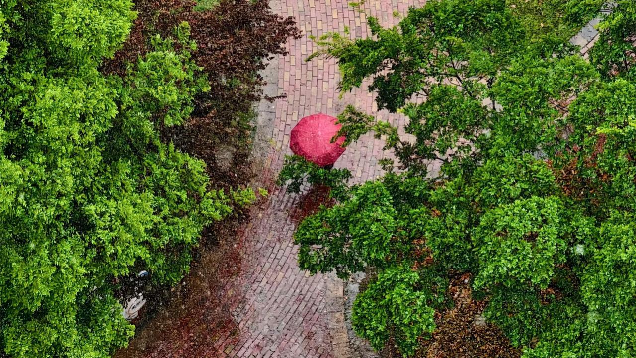 广钦老和尚曾说：身体不适时，别过度在意，越念叨有病，病越重；放宽心，反倒没大碍。