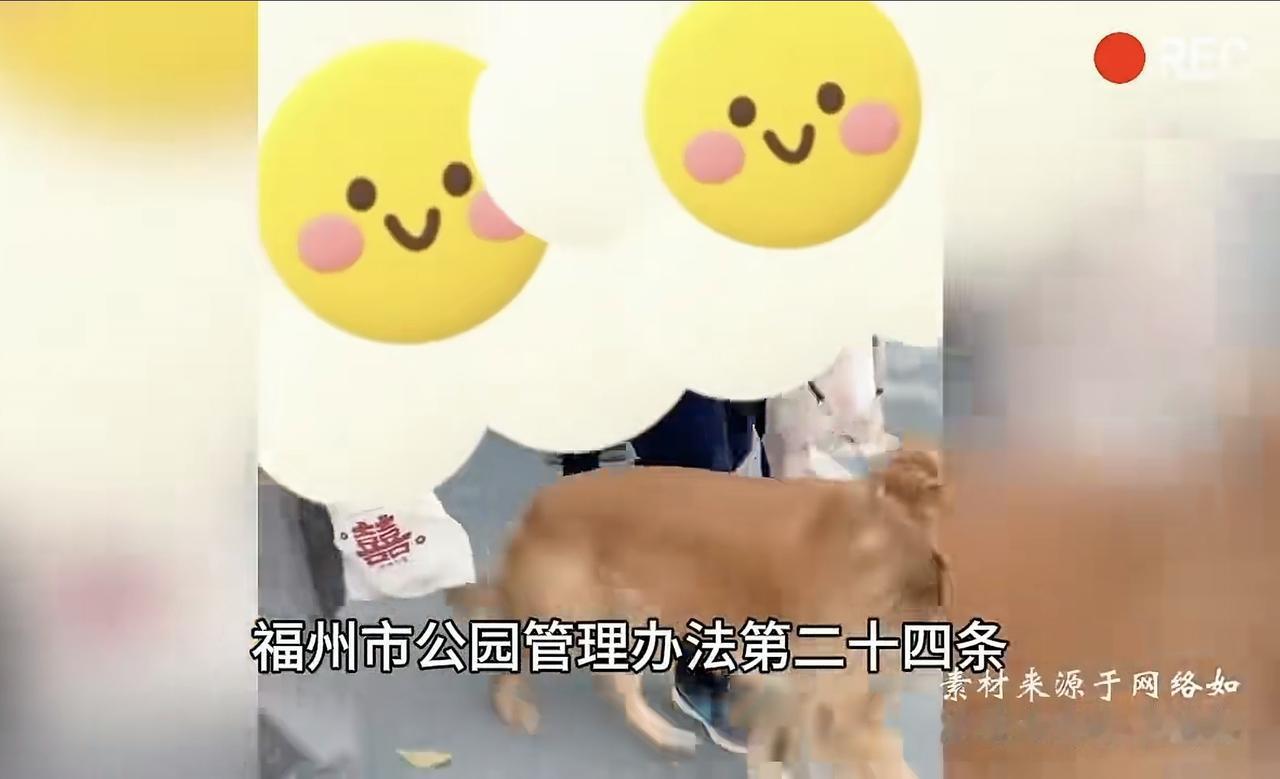 “够硬气”！有人打算牵狗进入福州花海公园被工作人员依法依规果断拒绝，网友们纷纷为