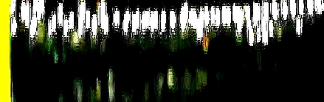 横店床戏内幕：男演员裆部塞着硬塑料，女演员胸前贴着厚硅胶。你看到的天雷勾地火，其