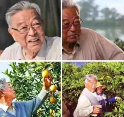 褚时健75岁时，身无分文，准备再次创业，他的朋友给他2000万，承诺：“亏了没关