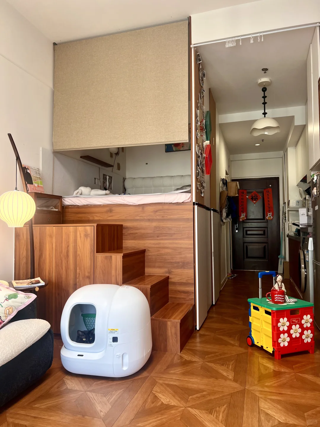 终于和三只猫住进了小时候梦想中的房子里啦