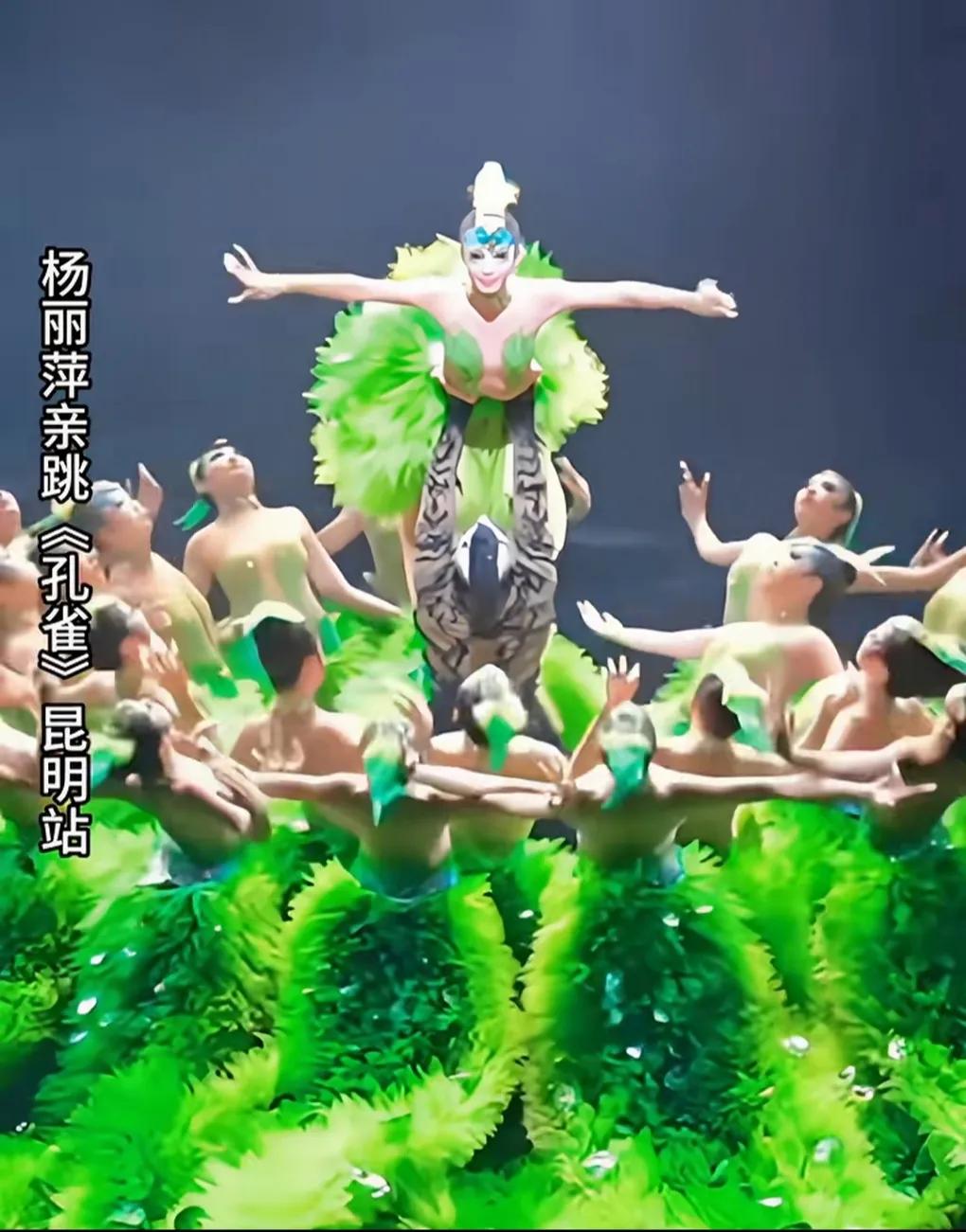杨丽萍的孔雀舞蹈，无人能超越，太唯美了。
她的一生都献给了舞蹈。