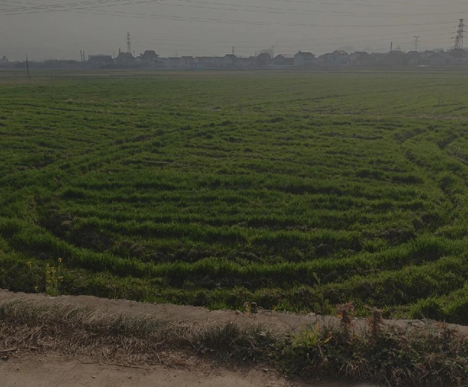 想问问西安的姐妹们，现在本地结婚真的有不要房子，彩礼只收6万6、8万8的情况吗？