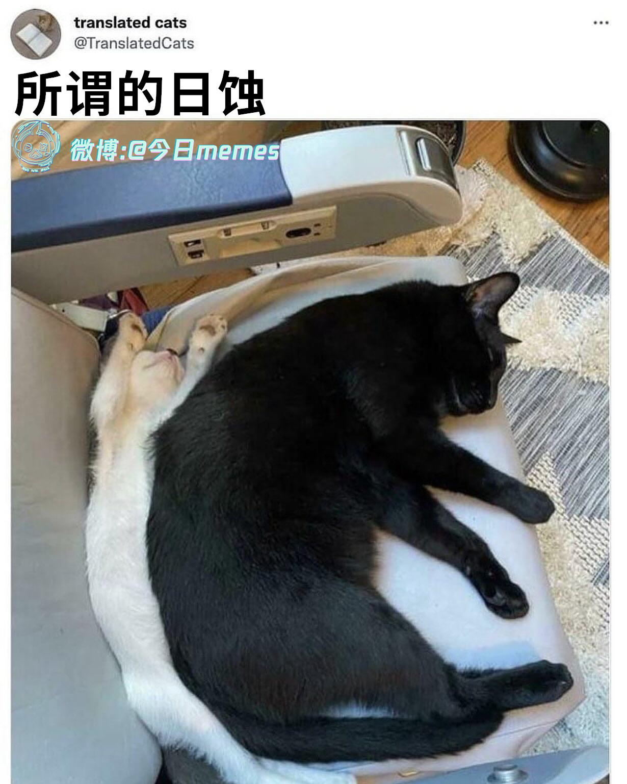 香蕉了（9gag）今日meme今日memes