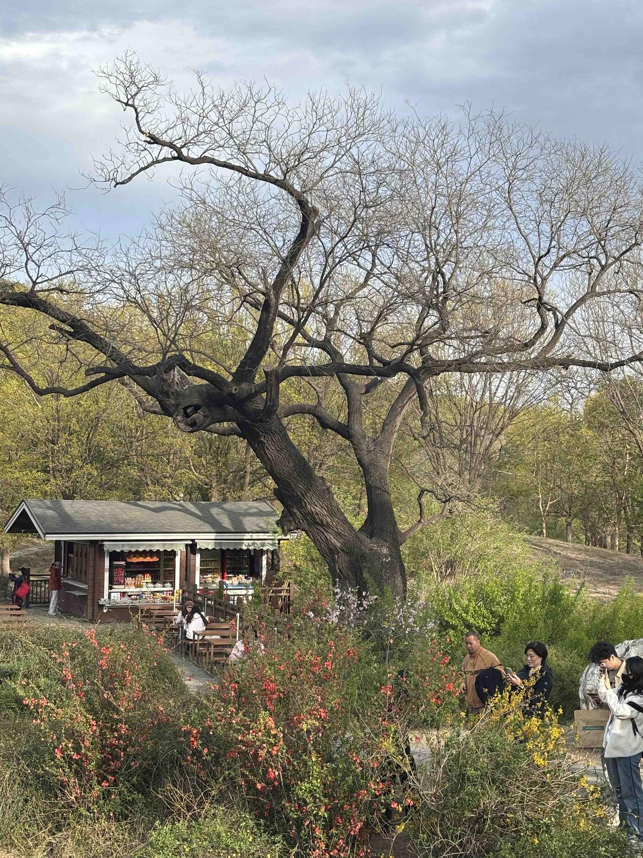 北京国家植物园