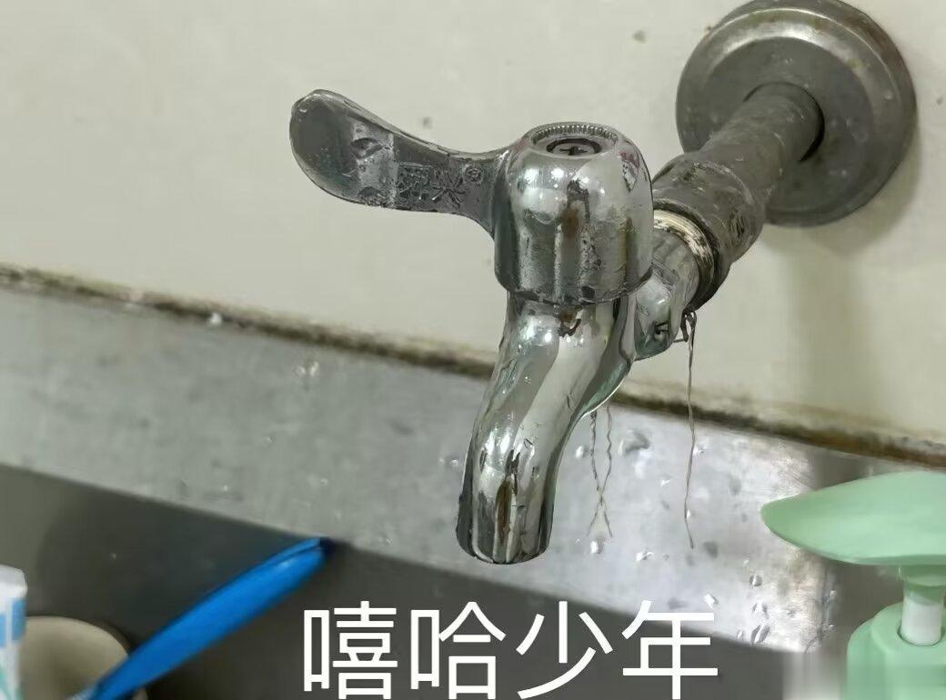 这辈子没想到会对着几个水龙头笑十分钟 ​​​
