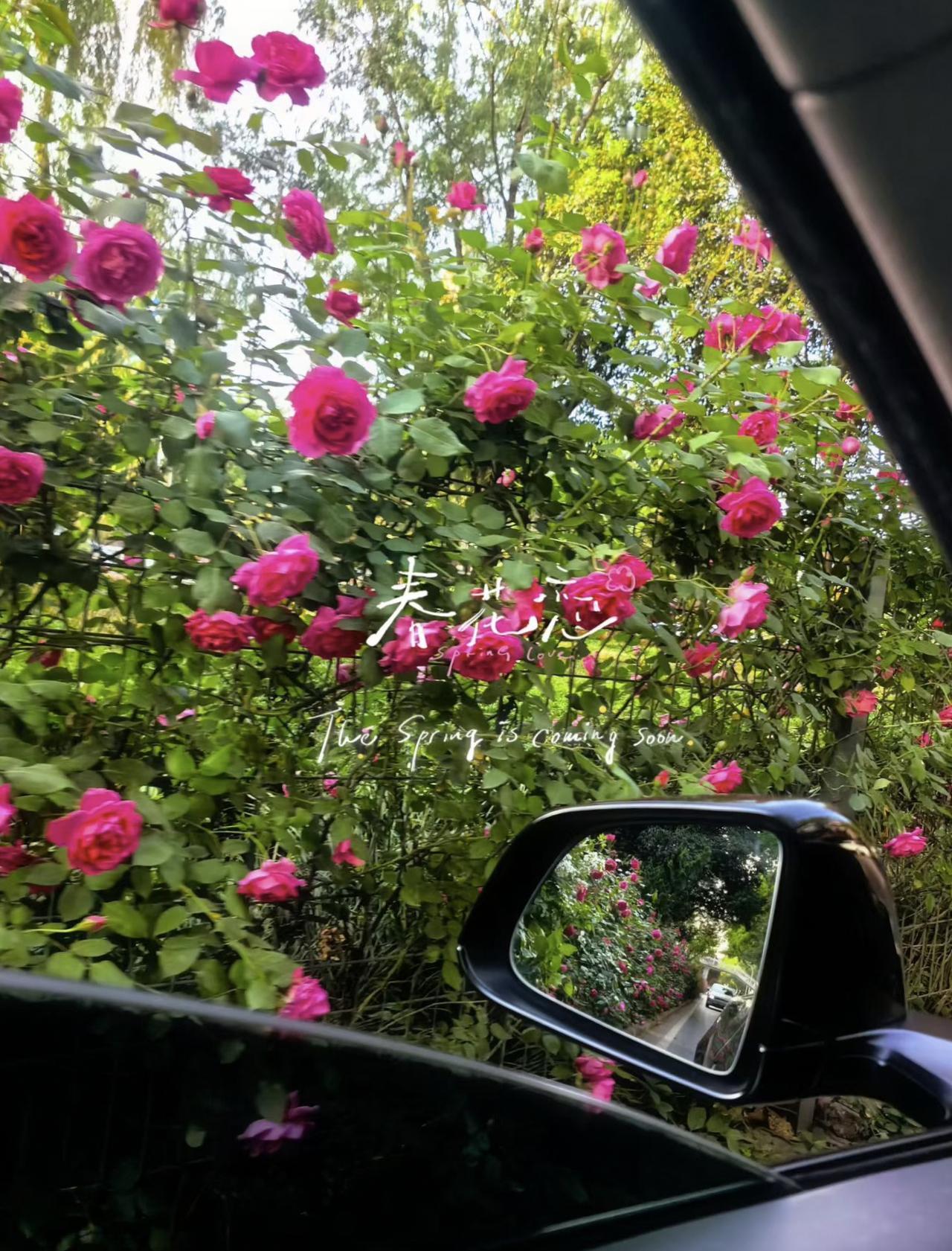 周一吉祥