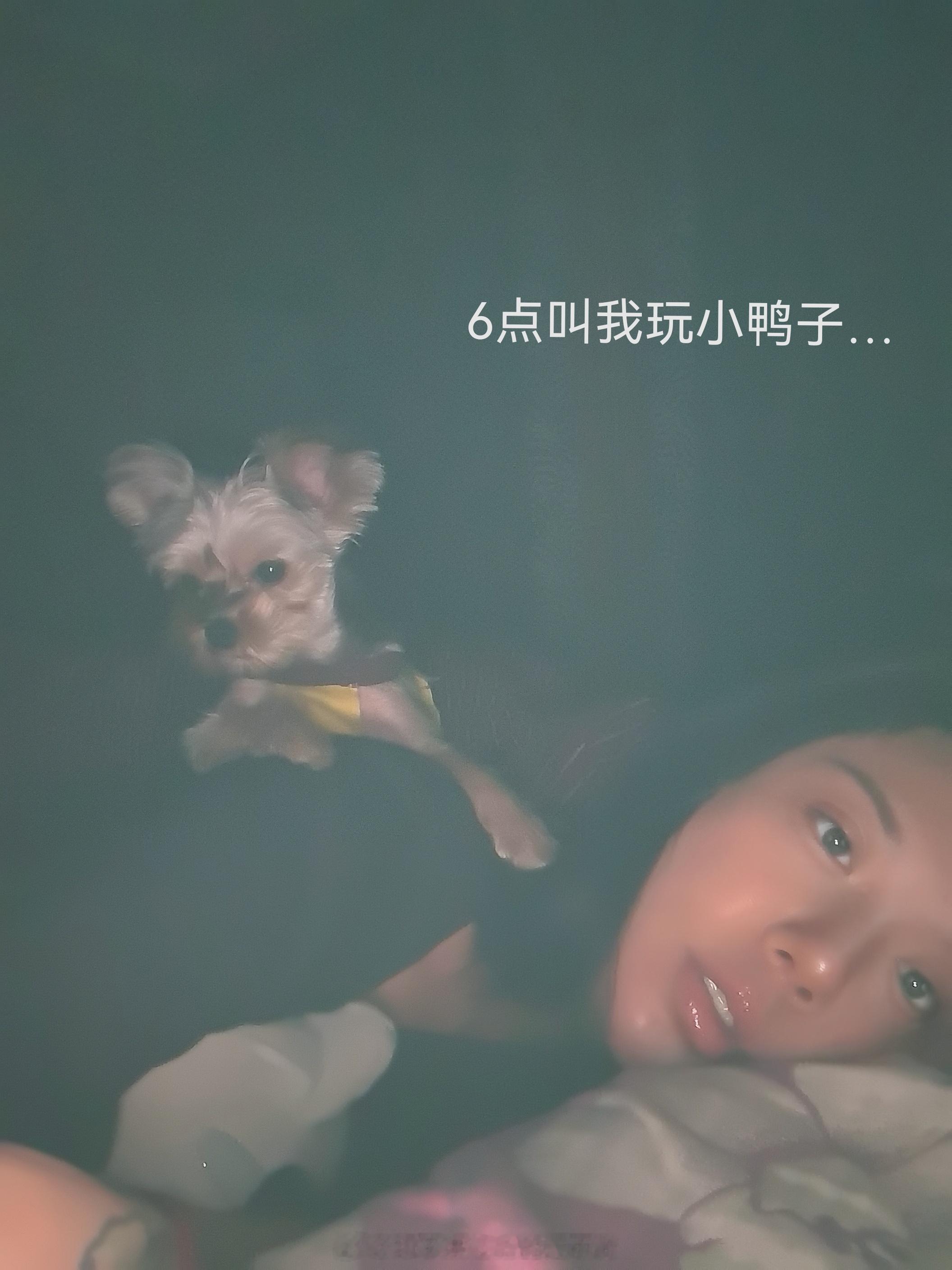 ✘生活记录✘   已经两天了，我沉迷于东北饭包无法自拔[笑cry]我以为哈，就拳