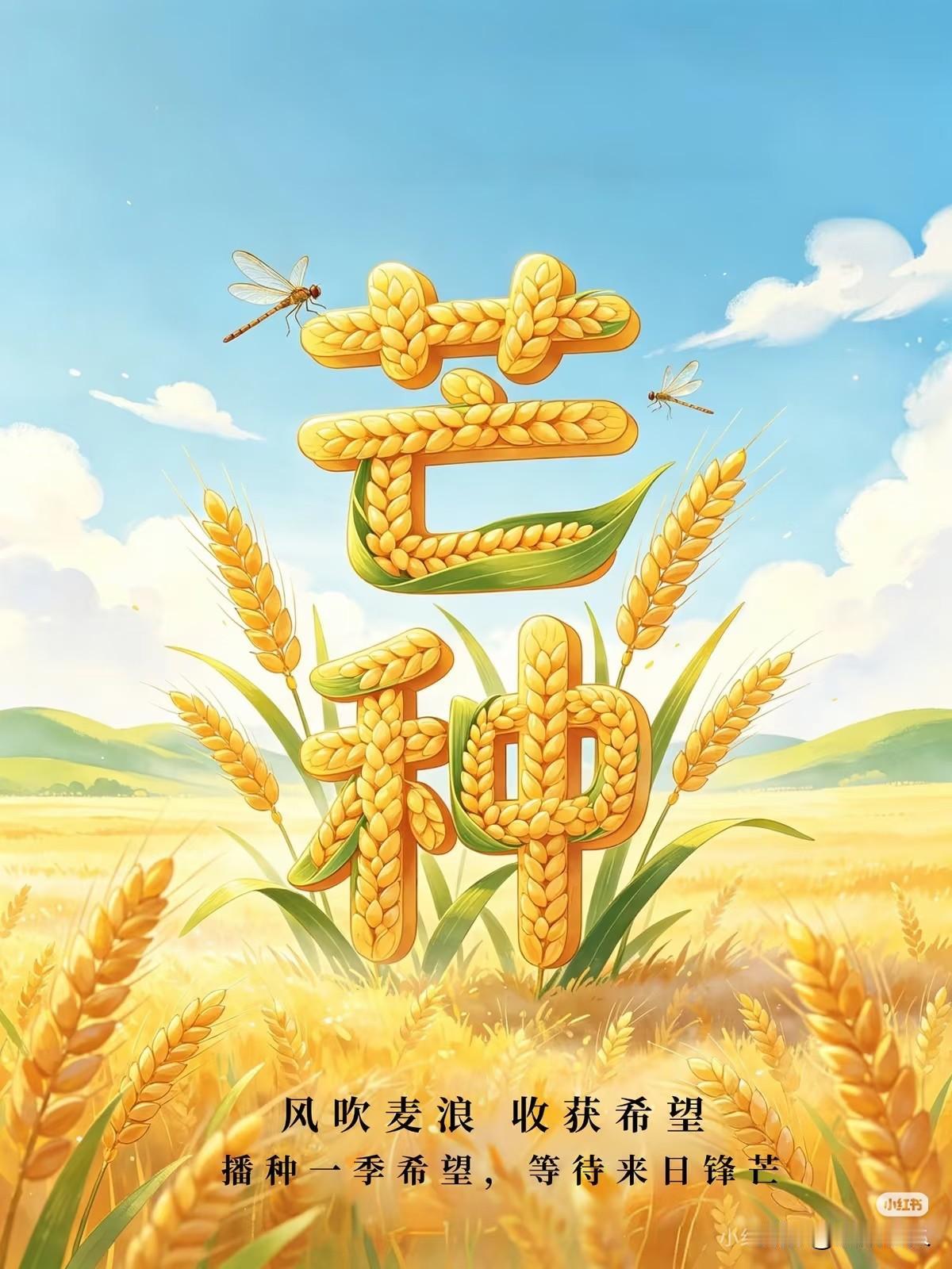 风吹麦浪，收获希望。