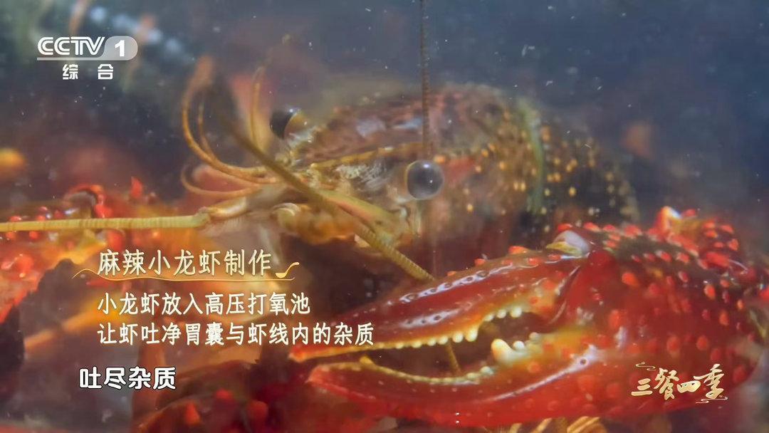 夏天夜宵三件套麻辣十三香蒜蓉小龙虾首选哪个 没有小龙虾的夏天是不完整的。麻辣上头