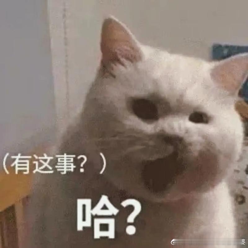 莫斯科遭袭空中交通瘫痪战火拉到俄罗斯首都了，直接大耳刮子扇俄罗斯脸上了，丢人丢到