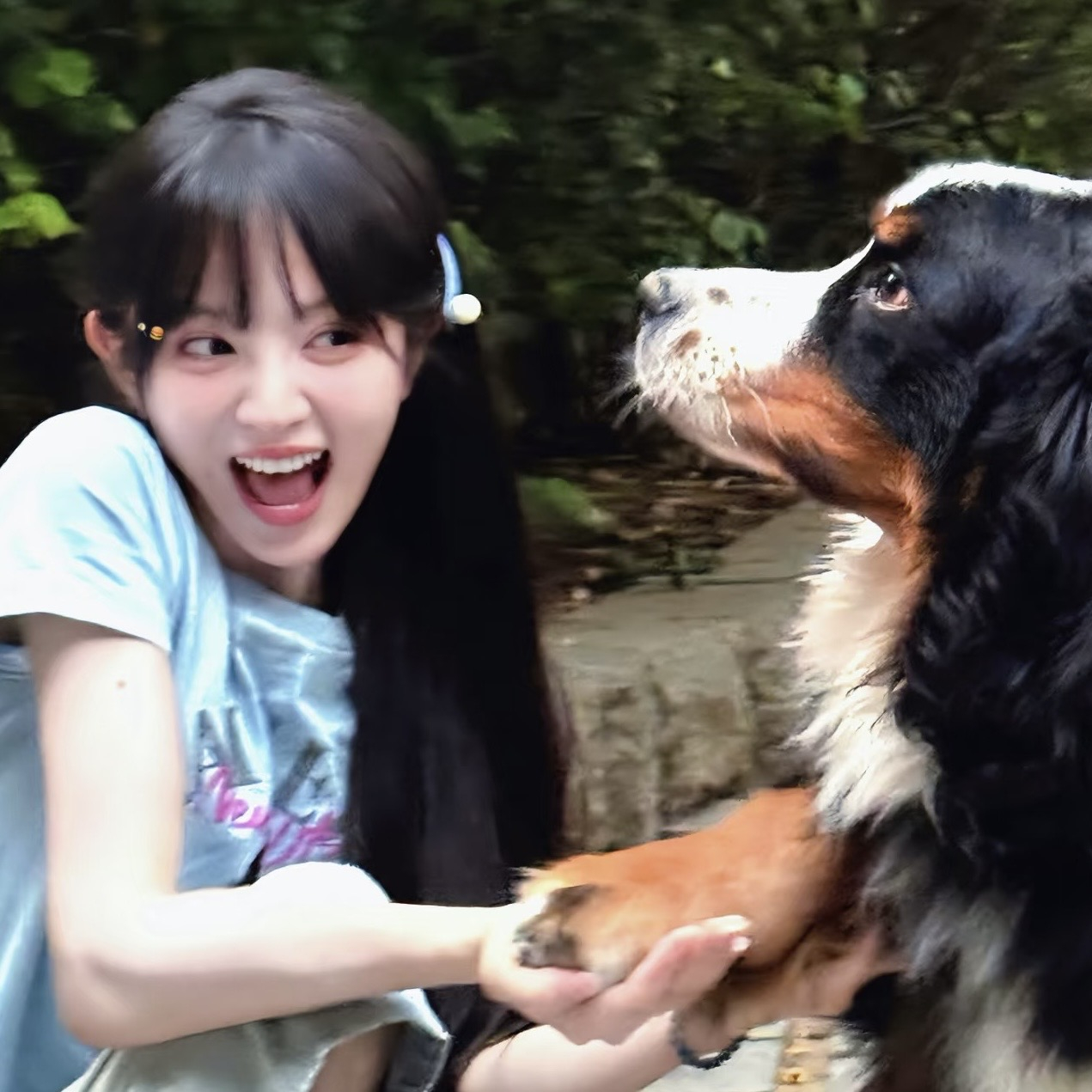 小猫🐱小狗🐶～🥰 