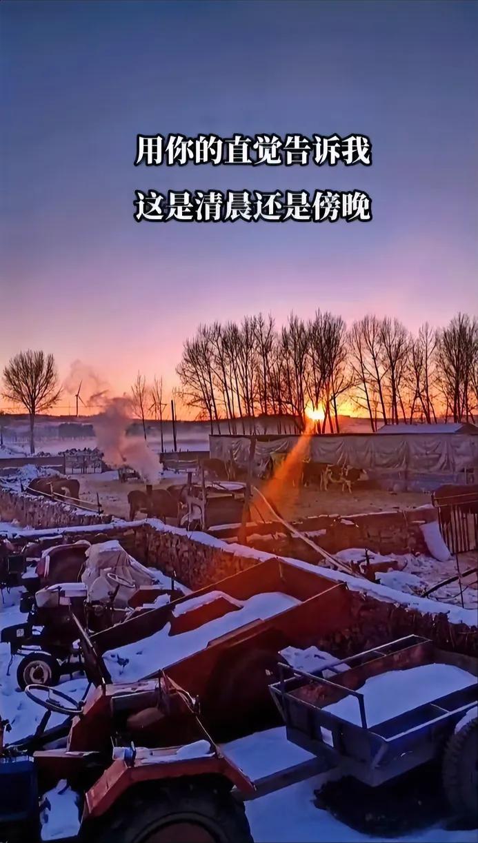 下图⬇️
能分辨出这是早晨还是晚上吗？
学过美术的一下就能看出来，对于我就难了，