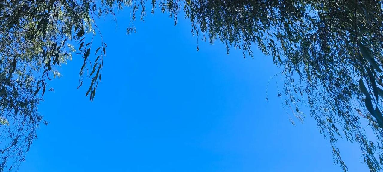 纯粹就是因为歌好听。