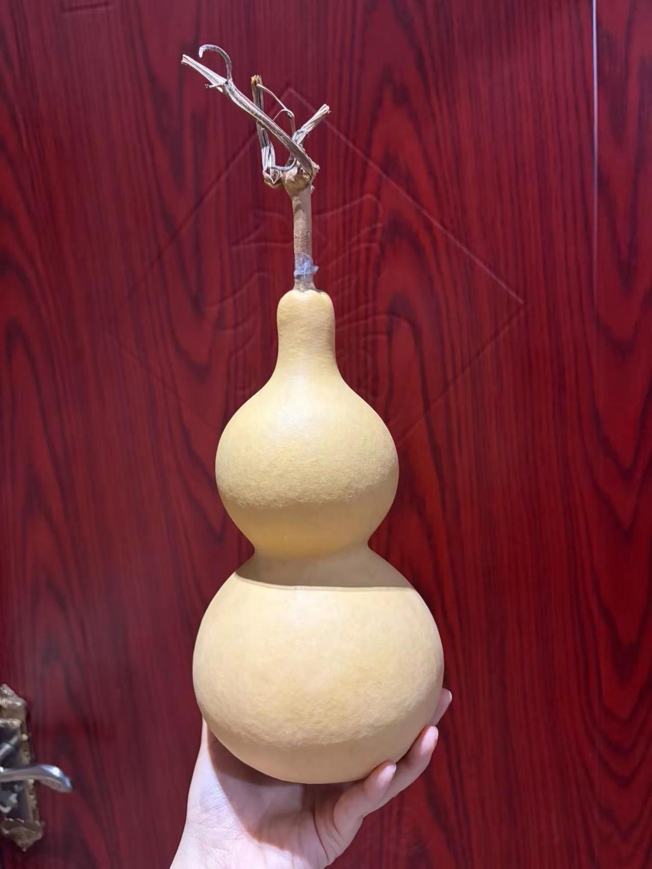 想看看你们的葫芦都盘成什么样了？一把葫芦的魅力 盘的是玩物修的是心境 闲来无事做